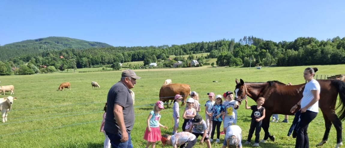 NÁVŠTĚVA FARMY