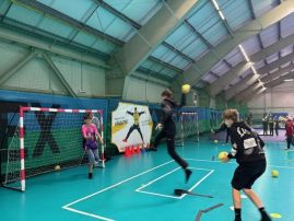 Fotografie img-7469_original.jpg