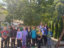 Fotografie img-7496_original.jpg