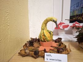 Fotografie 20251103-062600_original.jpg