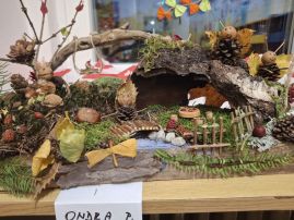 Fotografie 20251103-062613_original.jpg