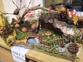 Fotografie 20251103-062627_original.jpg