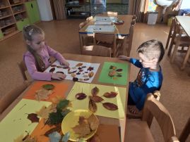 Fotografie 20251107-075023_3_original.jpg