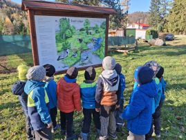 Fotografie 20251107-103834_3_original.jpg