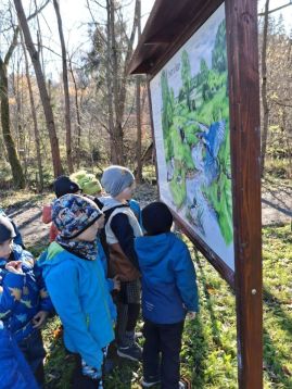 Fotografie 20251107-103926_3_original.jpg