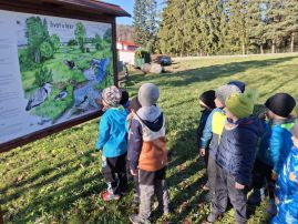 Fotografie 20251107-103947_2_original.jpg