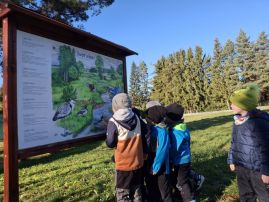 Fotografie 20251107-103951_2_original.jpg