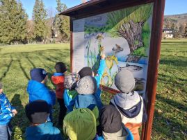 Fotografie 20251107-104159_2_original.jpg