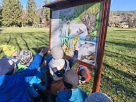 Fotografie 20251107-104259_3_original.jpg