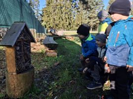 Fotografie 20251107-104420_4_original.jpg