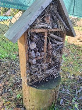 Fotografie 20251107-104425_2_original.jpg