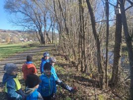 Fotografie 20251107-110023_2_original.jpg