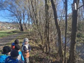 Fotografie 20251107-110115_2_original.jpg