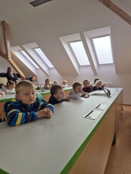 Fotografie img-20251119-wa0007_original.jpg