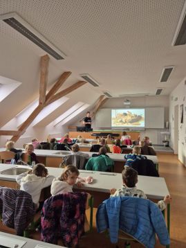 Fotografie img-20251119-wa0008_original.jpg