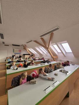 Fotografie img-20251119-wa0010_original.jpg