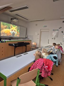 Fotografie img-20251119-wa0012_original.jpg