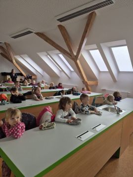 Fotografie img-20251119-wa0013_original.jpg