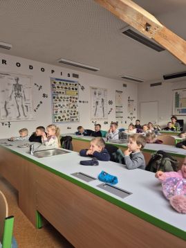 Fotografie img-20251119-wa0018_original.jpg