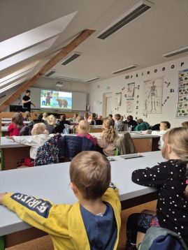 Fotografie img-20251119-wa0020_1_original.jpg