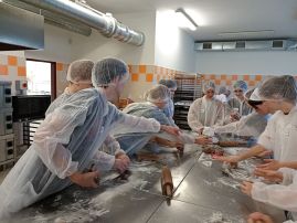 Fotografie 1000021223_original.jpg