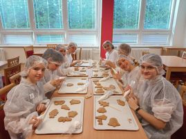 Fotografie 1000021229_original.jpg