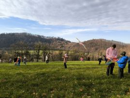 Fotografie 1000021017_original.jpg