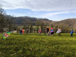 Fotografie 1000021024_original.jpg