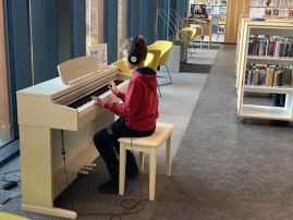 Fotografie img-1340_original.jpg