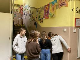 Fotografie img-1348_original.jpg