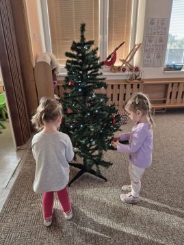 Fotografie img-20251205-wa0010_original.jpg