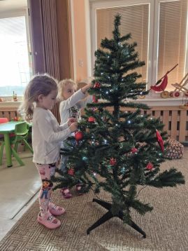 Fotografie img-20251205-wa0013_original.jpg