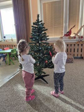 Fotografie img-20251205-wa0016_original.jpg