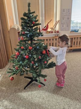 Fotografie img-20251205-wa0017_original.jpg