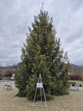 Fotografie img-20251205-wa0033_original.jpg