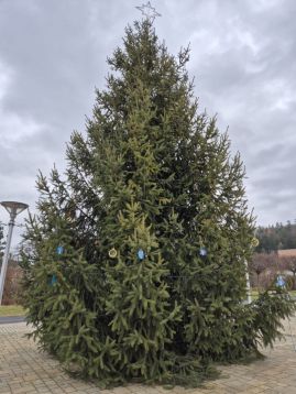 Fotografie img-20251205-wa0035_original.jpg