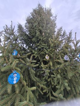 Fotografie img-20251205-wa0038_original.jpg