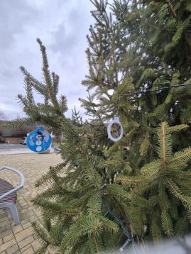 Fotografie img-20251205-wa0039_original.jpg