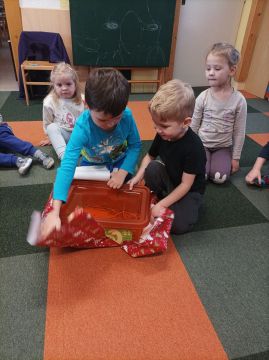 Fotografie img-20251217-094600_original.jpg