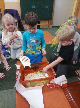 Fotografie img-20251217-094624_original.jpg