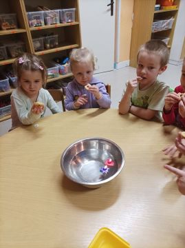 Fotografie img-20251219-095930_original.jpg