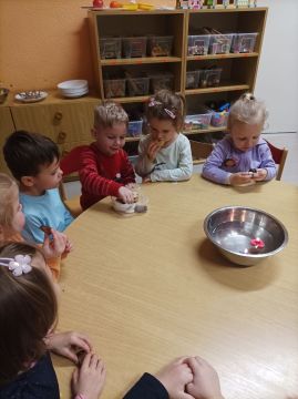 Fotografie img-20251219-100057_original.jpg