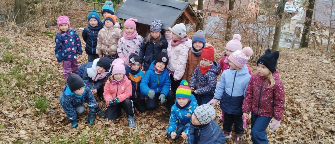 Výprava za zvířátky