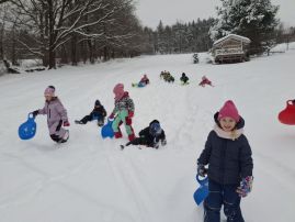 Fotografie 20260113-103814_original.jpg