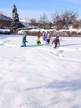 Fotografie img-20260112-110228_original.jpg