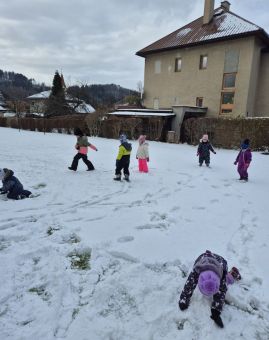 Fotografie 20251124-110819_original.jpg