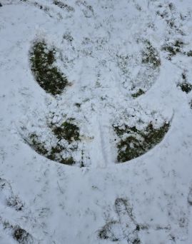 Fotografie 20251124-110914_original.jpg