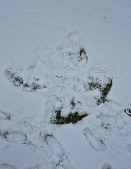 Fotografie 20251124-110928_original.jpg