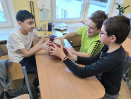 Fotografie img-20260121-1135371_original.jpg