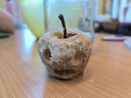 Fotografie img-20260121-1136311_original.jpg